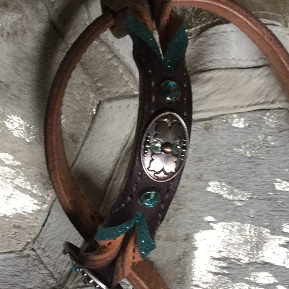 Custom horse headstall barrel racing cowgirl rodeo queen equestrian western - Picture 10 of 10